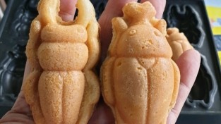 양산에 이색 빵집이 있다!/양산 북정동에 ‘파브르카페’에서 풍뎅이 빵을 구워내 판매하고 있다.