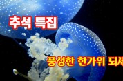 추석특집,숨은사랑~이수태작곡가위원장작사,작곡,노래