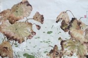 설파, 안창수  화백의 가을연(秋蓮) -가로97cmx세로62cm 화선지에 수묵채색 