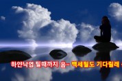 이수태작곡가, 와이뉴스음반이사의  하얀낙엽